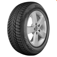 235/55R17 Roadstone WINGUARD ICE PLUS 99T