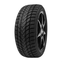 205/55R17 Delinte WINTER WD6 95H
