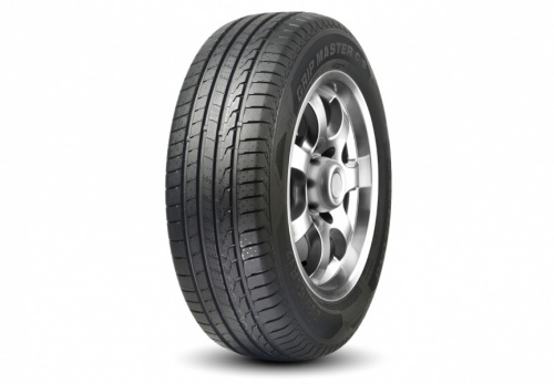 255/50R19 Linglong Leao GRIP MASTER C/S 107W