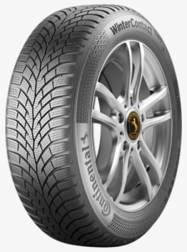 205/55R19 Pirelli CARRAS 97H