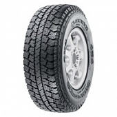 COMPETUS A/T