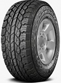 RAPTOR R09 AT
